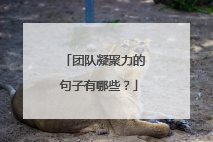 团队精神：法国排球队团结一心晋级的简单介绍