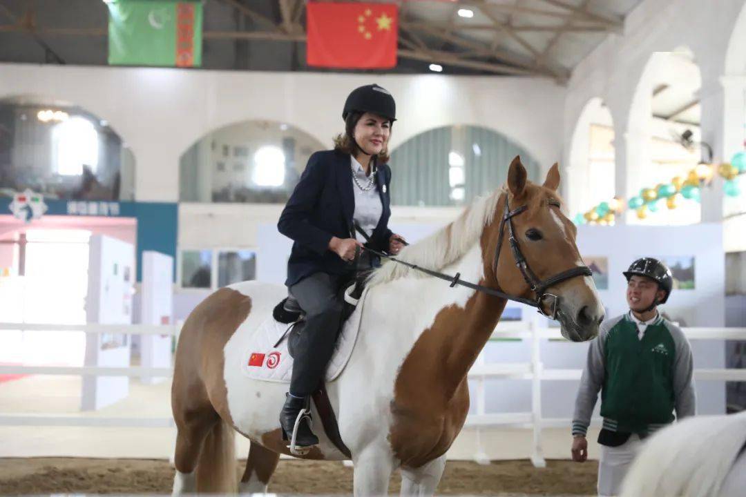 格鲁吉亚马术选手遥控马横扫全场，飒爽登场