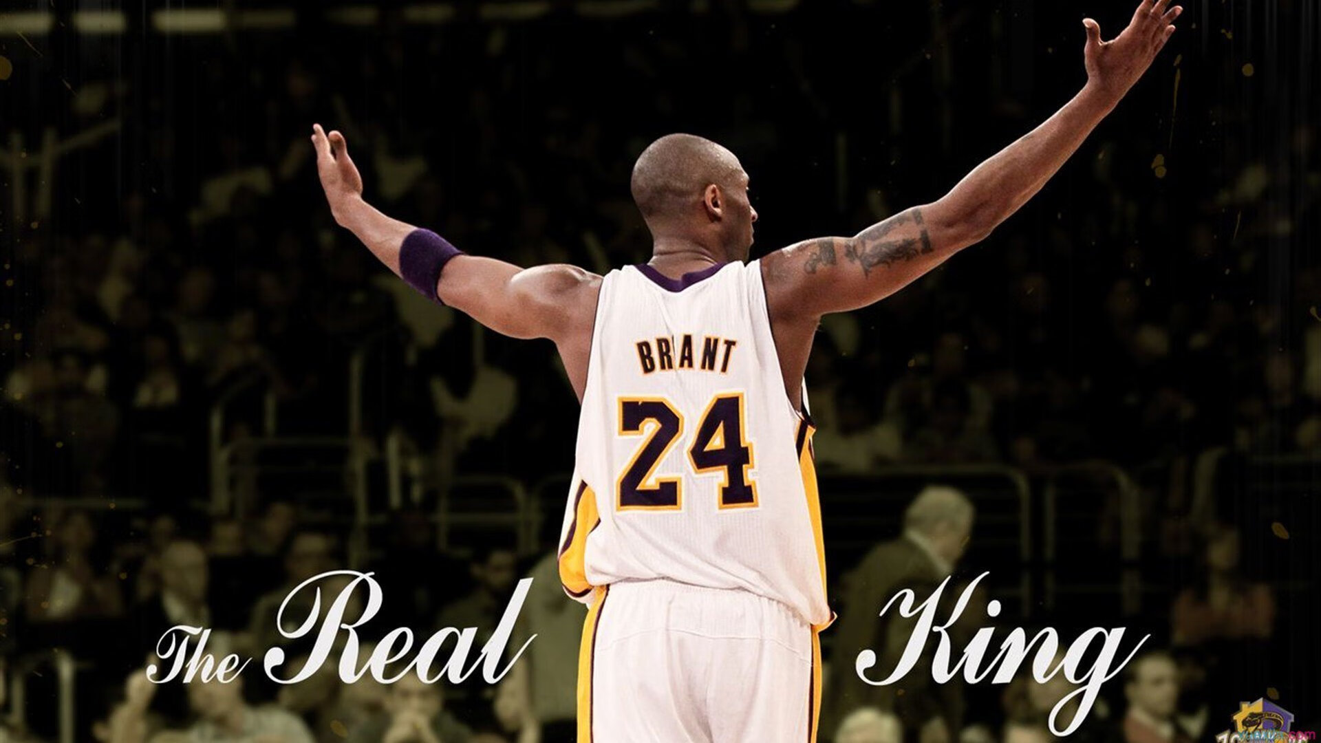 开云体育平台APP-虚构之战，西亚卡姆末节暴走，汽车城活塞上演惊天逆转击败广东宏远