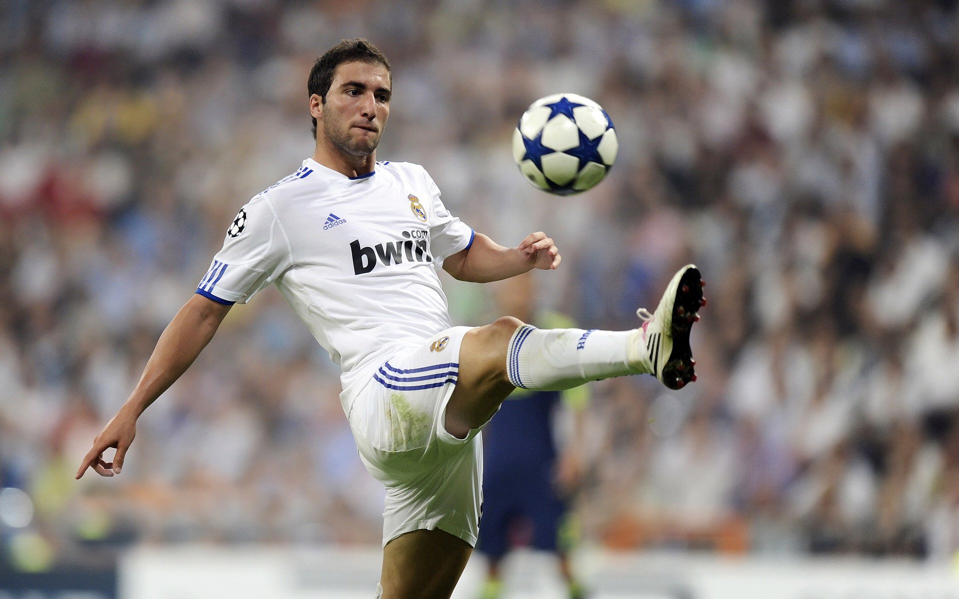 隔空辉映,凯尔特人绝杀后的淬炼之光与张镇麟的东方答案